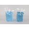 8.5" x 11" x 4.25" OD Clear 1/2 Gallon SpoutPAK™ (250/case) - SP05PM5S23RC 