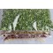 8.5" x 13.0"  OD Transparent Vacuum Seal Pouch (500/case) -  V4R08513