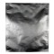 Food Storage Packaging Kit, Special 1: 16 x 18 OD MylarFoil Barrier Bags (50) & 750cc Oxygen Absorber Packets (50) - FS-Kit1