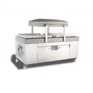 Double Chamber silver Vacuum Sealer with lid open