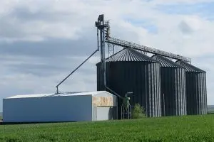 outside view of grain silos