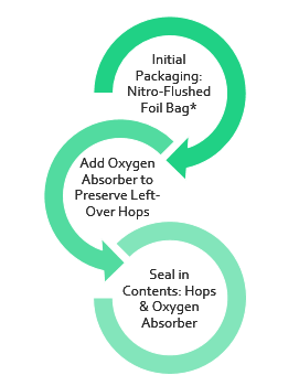 packaging hops infographic