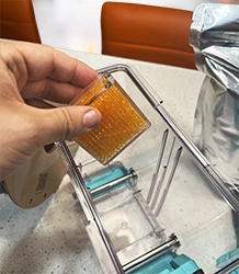 orange indicating Dr-Box moisture control systemn being added to container