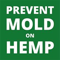prevent mold on hemp