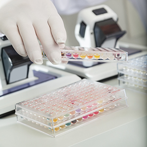 microplates in a laboratory setting