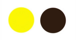 steam sterilization indicator pink to brown