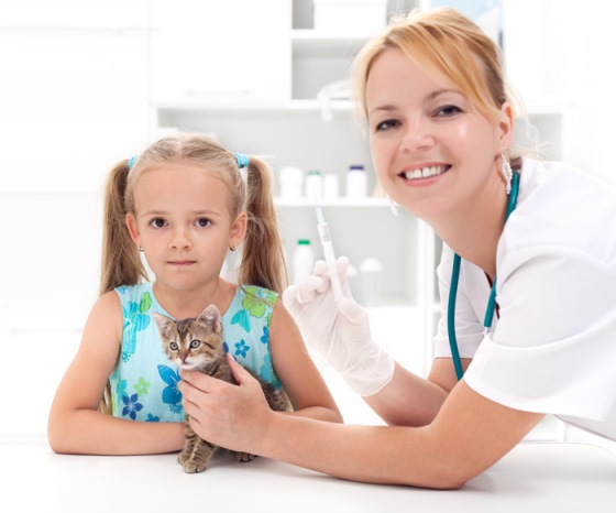 veterinarian with kitten